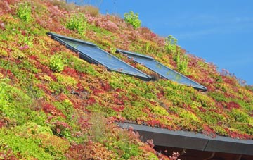 Praa Sands living roof systems